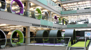 Commercial Office Fitout
