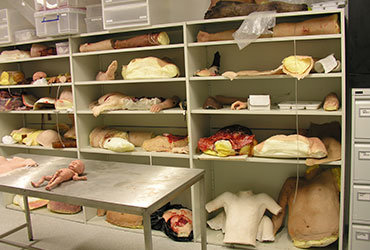 BBC Wales - Shelving