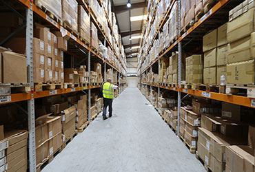 Pallet Racking Survey